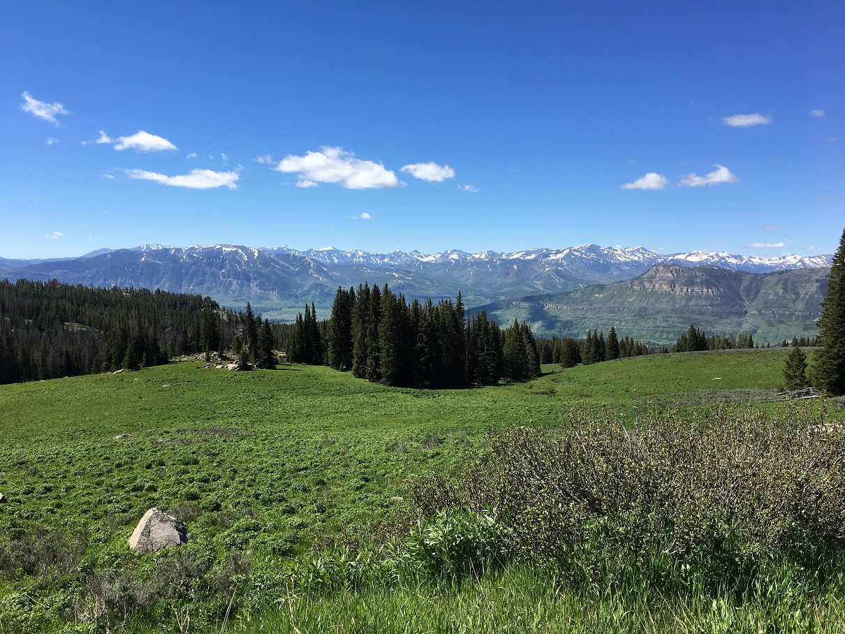 MT - WY side Beartooth Pass