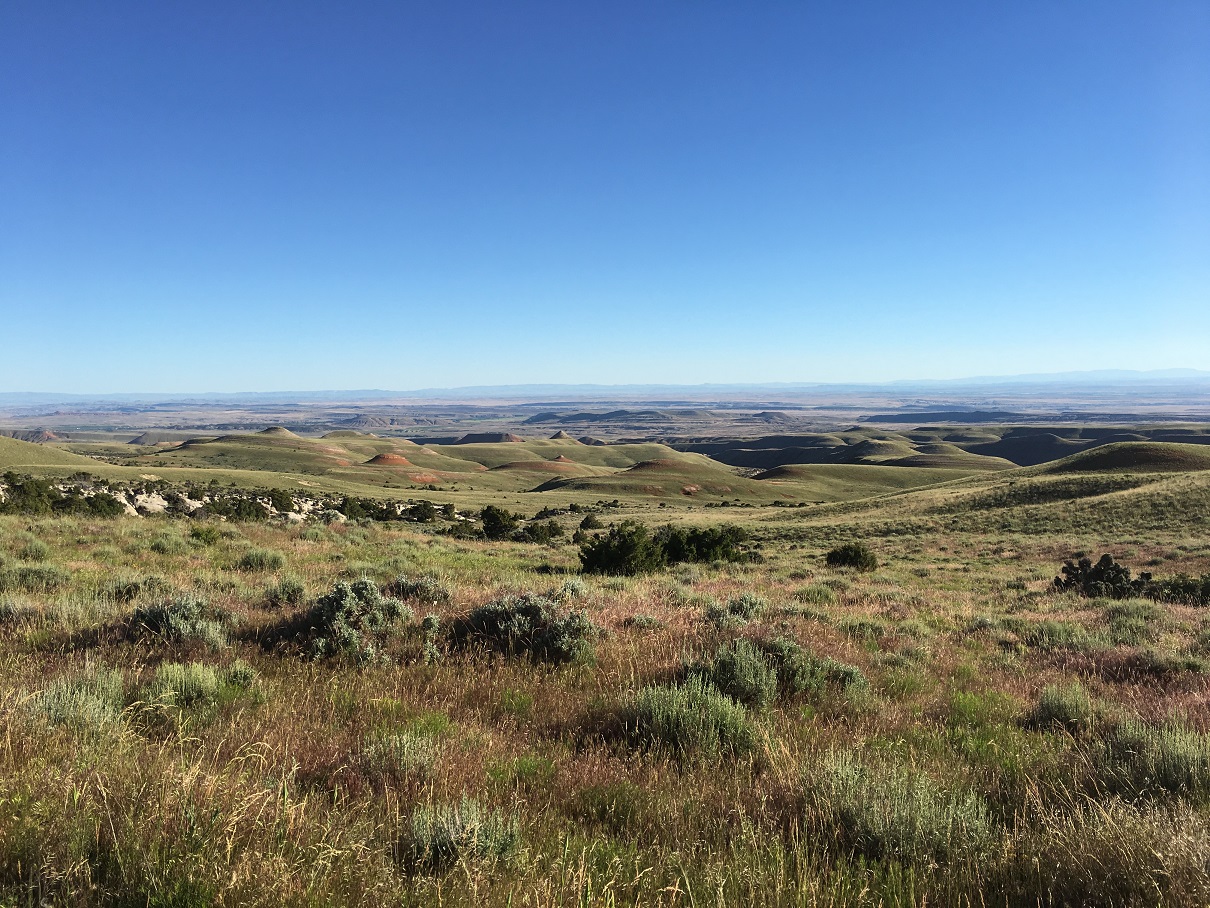 Near Red Gulch