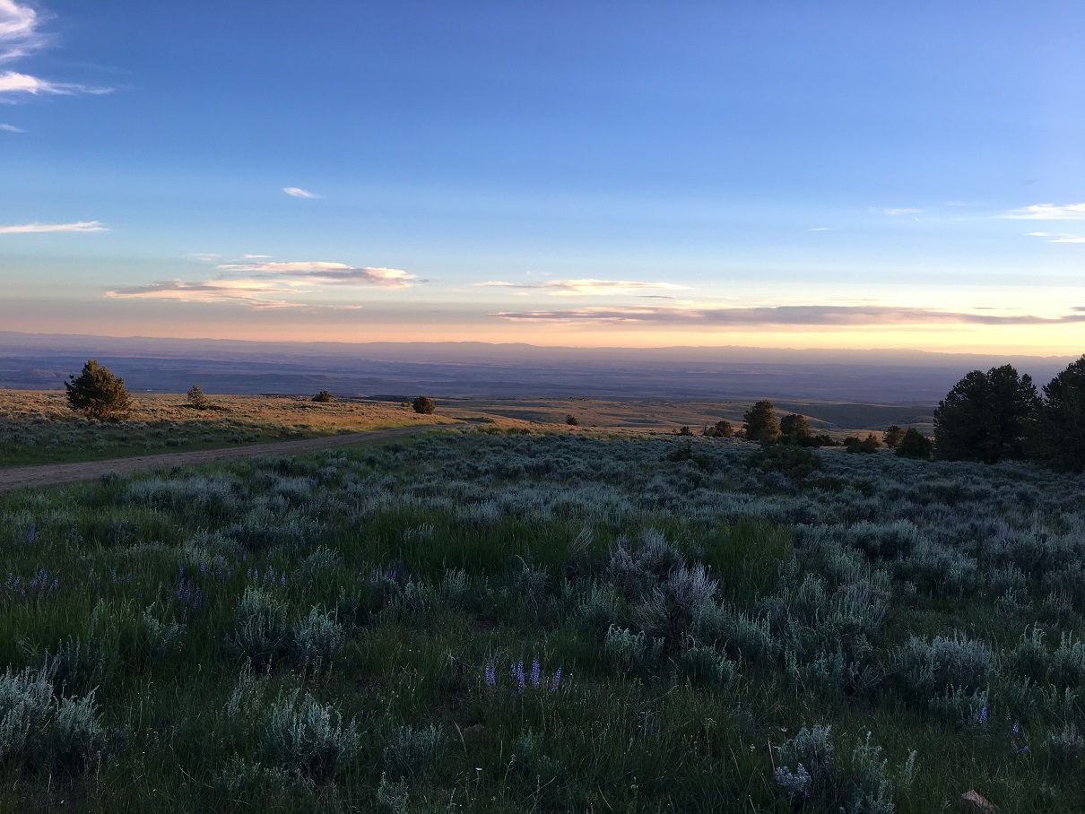Near Red Gulch