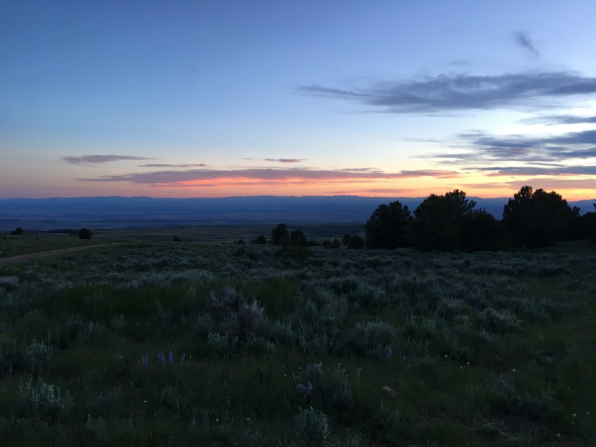 South Bighorn NF