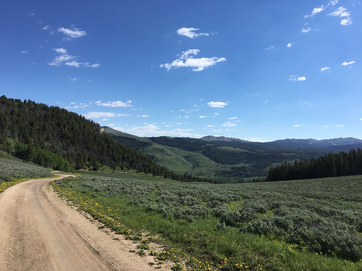 South Bighorn NF