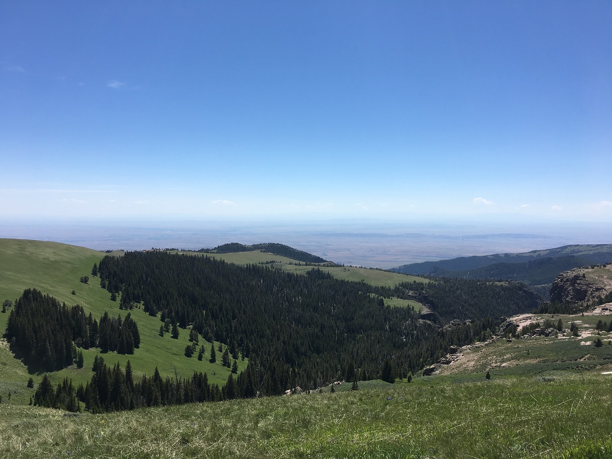 Bighorn Mountain